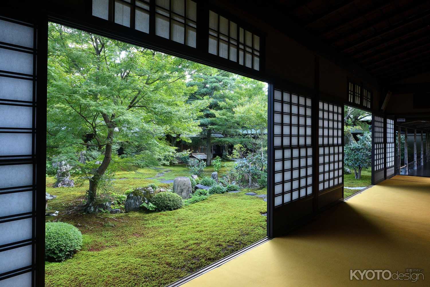 大徳寺塔頭 黄梅院秋季特別公開