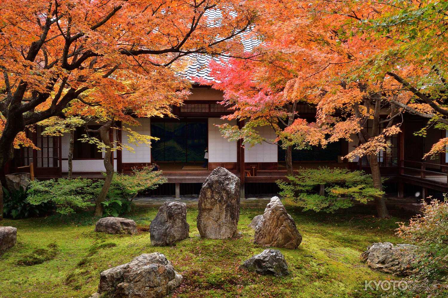 南禅寺 天授庵ライトアップ（中止）