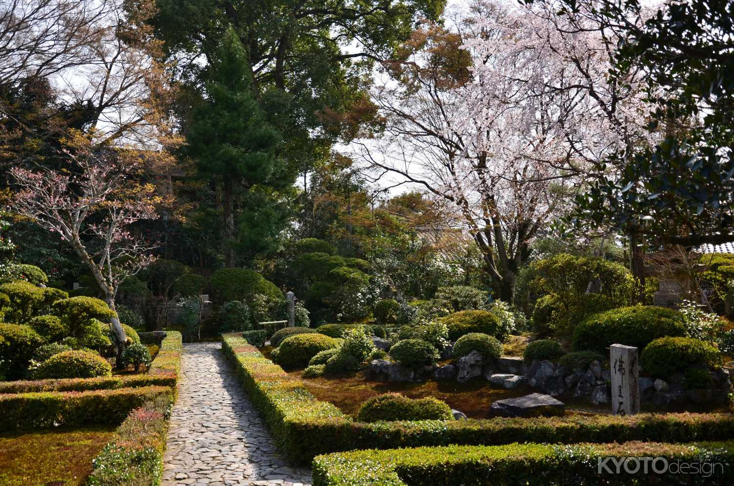 安楽寺 春の特別公開