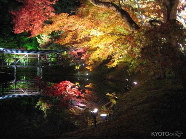 高台寺 秋の特別拝観・ライトアップ