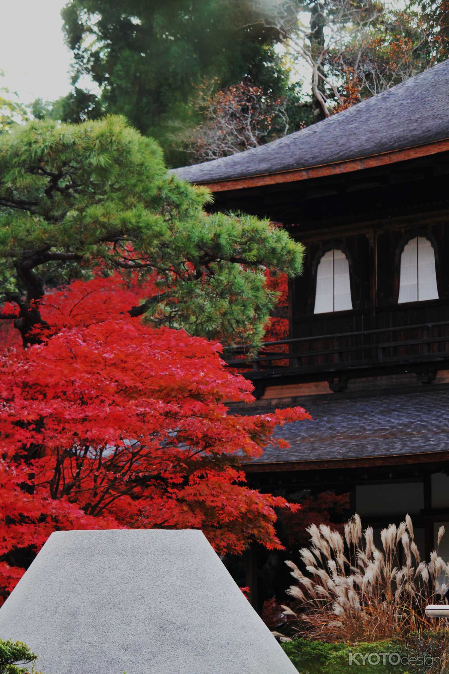 銀閣寺 秋の特別公開