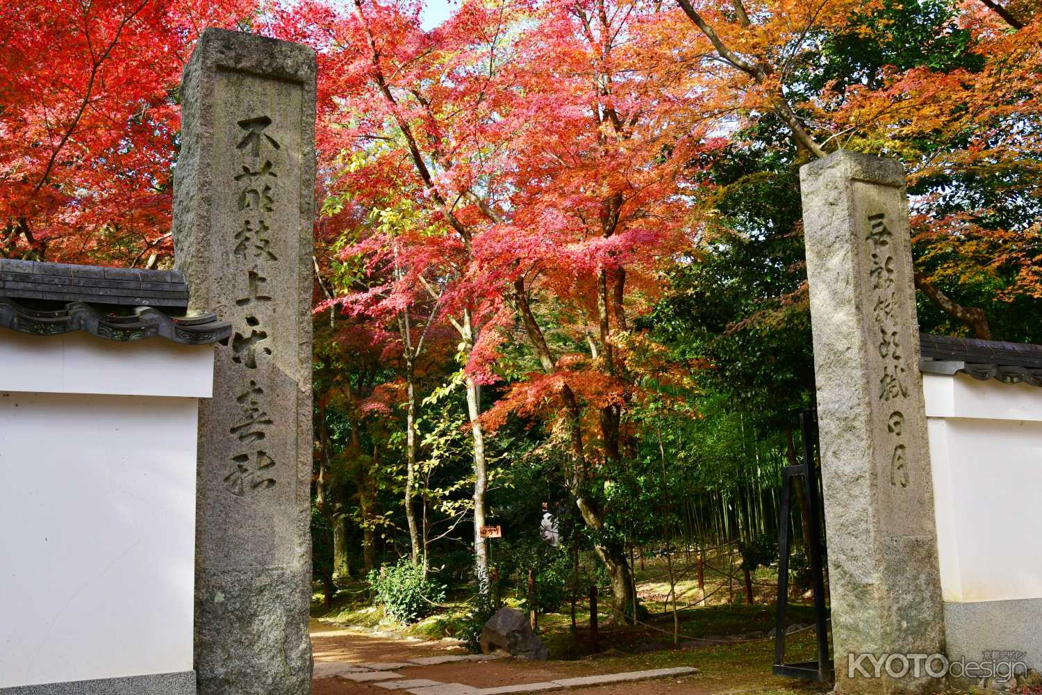 浄住寺 秋の特別公開