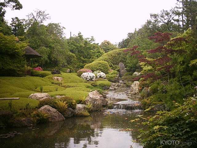 退蔵院 観月茶会