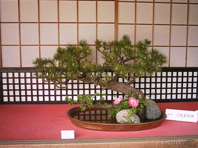 華道祭（開催中止）