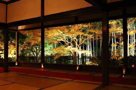 宝泉院  秋の夜間特別拝観