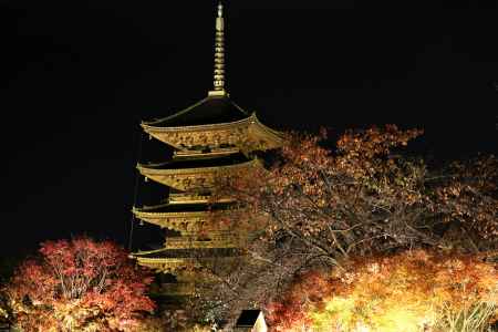 境内ライトアップと夜間特別公開