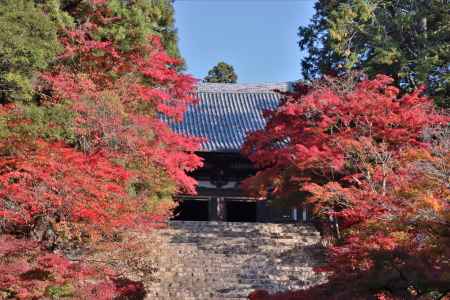 神護寺　大師堂特別公開