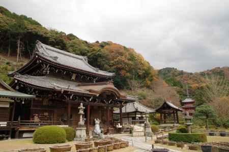 三室戸寺　秋の特別拝観　～観音様の足の裏を拝する会～