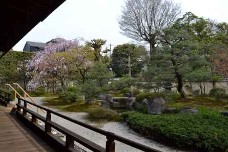 建仁寺　正伝永源院　春の特別庭園公開