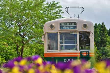 梅小路公園グリーンフェア 2014 秋