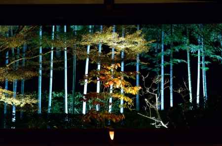 勝林院・宝泉院  秋の夜間特別拝観