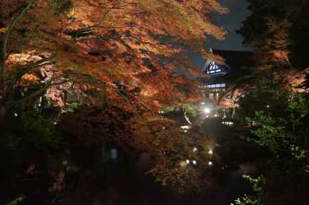 金戒光明寺 夜間拝観・ライトアップ