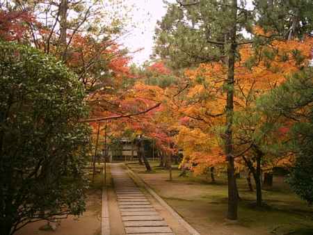 大徳寺塔頭　総見院・黄梅院・興臨院　秋の特別拝観