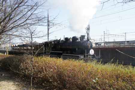 梅小路公園グリーンフェア2013秋