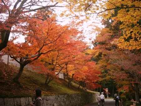 曼殊院　夜の特別拝観