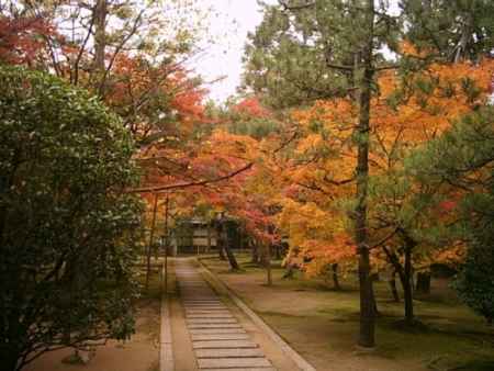 大徳寺本坊　秋の特別公開