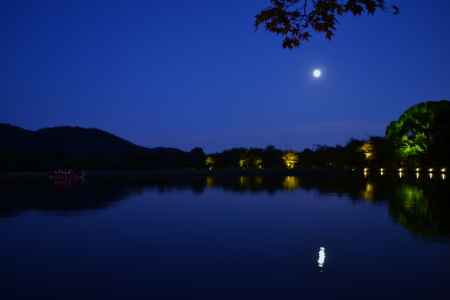 大覚寺・大沢池「観月の夕べ」