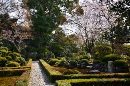 安楽寺　春の特別公開