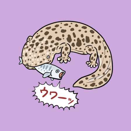 なんかへんないきもの～オオサンショウウオのゆかいななかまたち