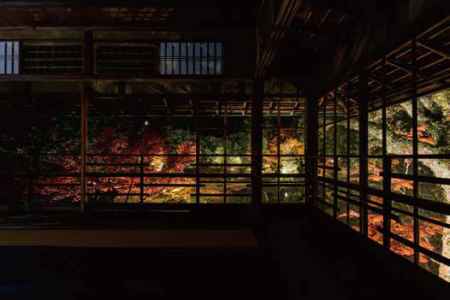 秋の紅葉特別夜間公開 トワイライト庭園パーティー2019