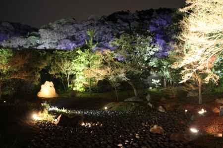 宝厳院　夜間特別拝観