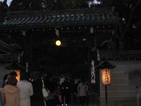 青蓮院　夜の特別拝観