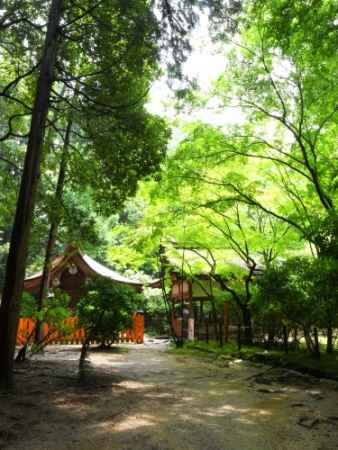 重陽神事と烏相撲