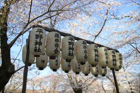 平野神社のライトアップ