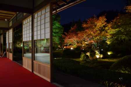 泉涌寺別院　雲龍院　夜間特別拝観