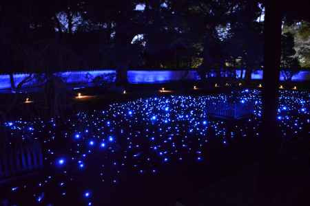 青蓮院　夜の特別拝観