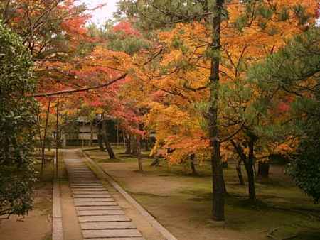 大徳寺 特別公開（方丈・法堂・唐門）