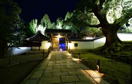 青蓮院　夜の特別拝観