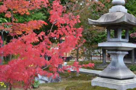 東福寺塔頭 勝林寺　秋の特別拝観