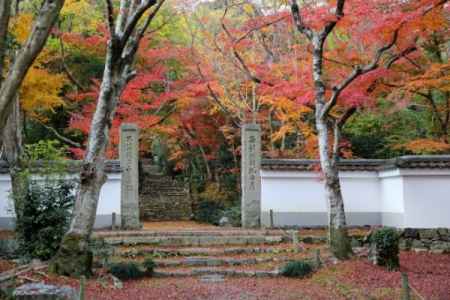 浄住寺 秋の特別公開