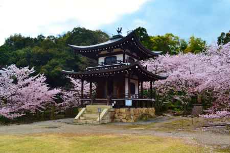 勧修寺 書院特別公開