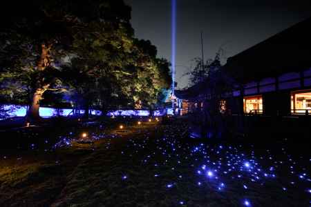 青蓮院 秋の夜間拝観