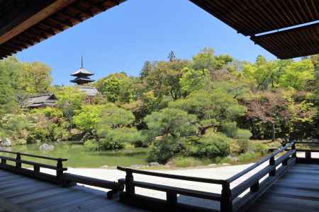 第49回京の夏の旅　仁和寺 御殿・庭園
