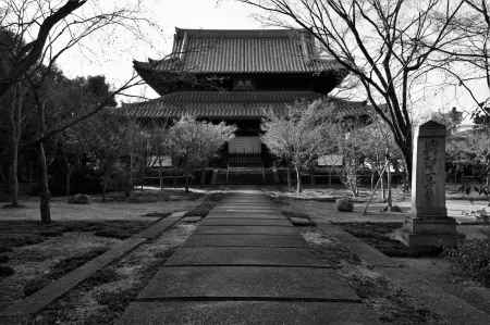 西陣興聖寺 秋の特別公開（「織部寺」のもみじ特別公開）