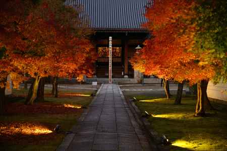 妙顕寺 夜間特別拝観