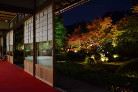 雲龍院 秋の特別拝観と夜間ライトアップ