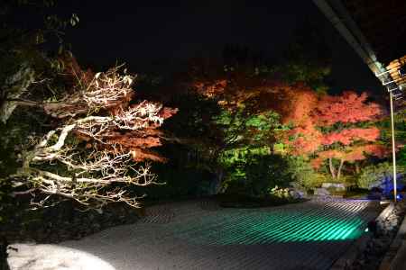 圓徳院　秋の特別展・ライトアップ