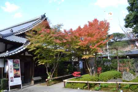 天得院　秋の特別拝観