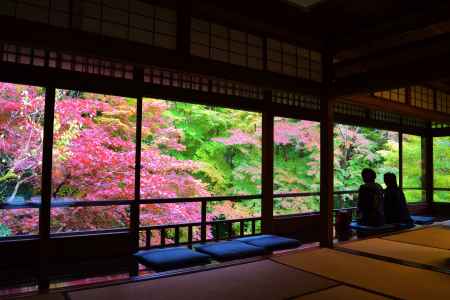  瑠璃光院　秋の特別拝観