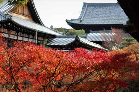 東福寺 秋の看楓特別拝観