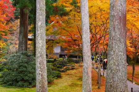 三千院 もみじ祭