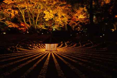 宝厳院 秋の夜間特別拝観