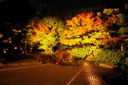 圓徳院　秋の特別展・ライトアップ