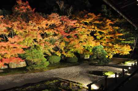 南禅寺 天授庵ライトアップ