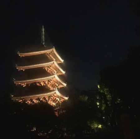 「仁和寺の風景を未来に残すプロジェクト」もみじライトアップ