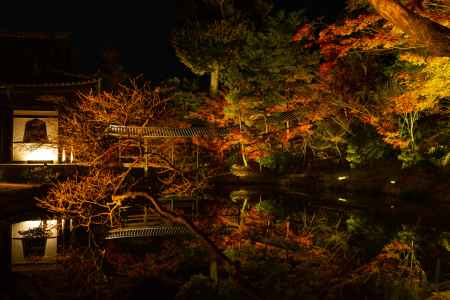 高台寺 秋の特別拝観・ライトアップ